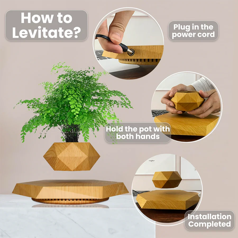 Floating Plant Pot Levitating Plant Pot for Succulents