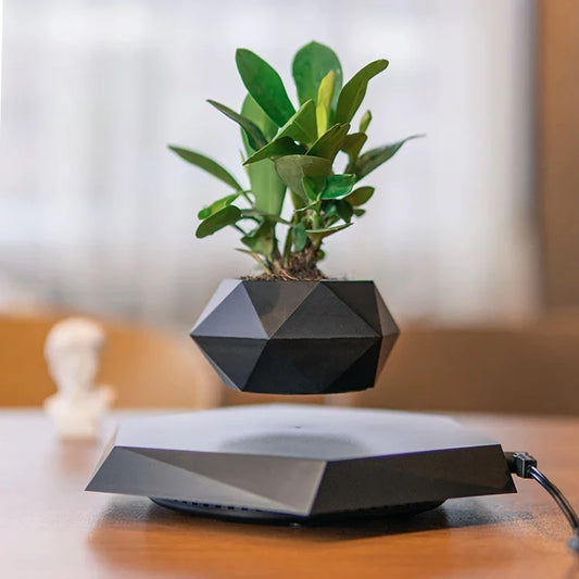 Floating Plant Pot Levitating Plant Pot for Succulents