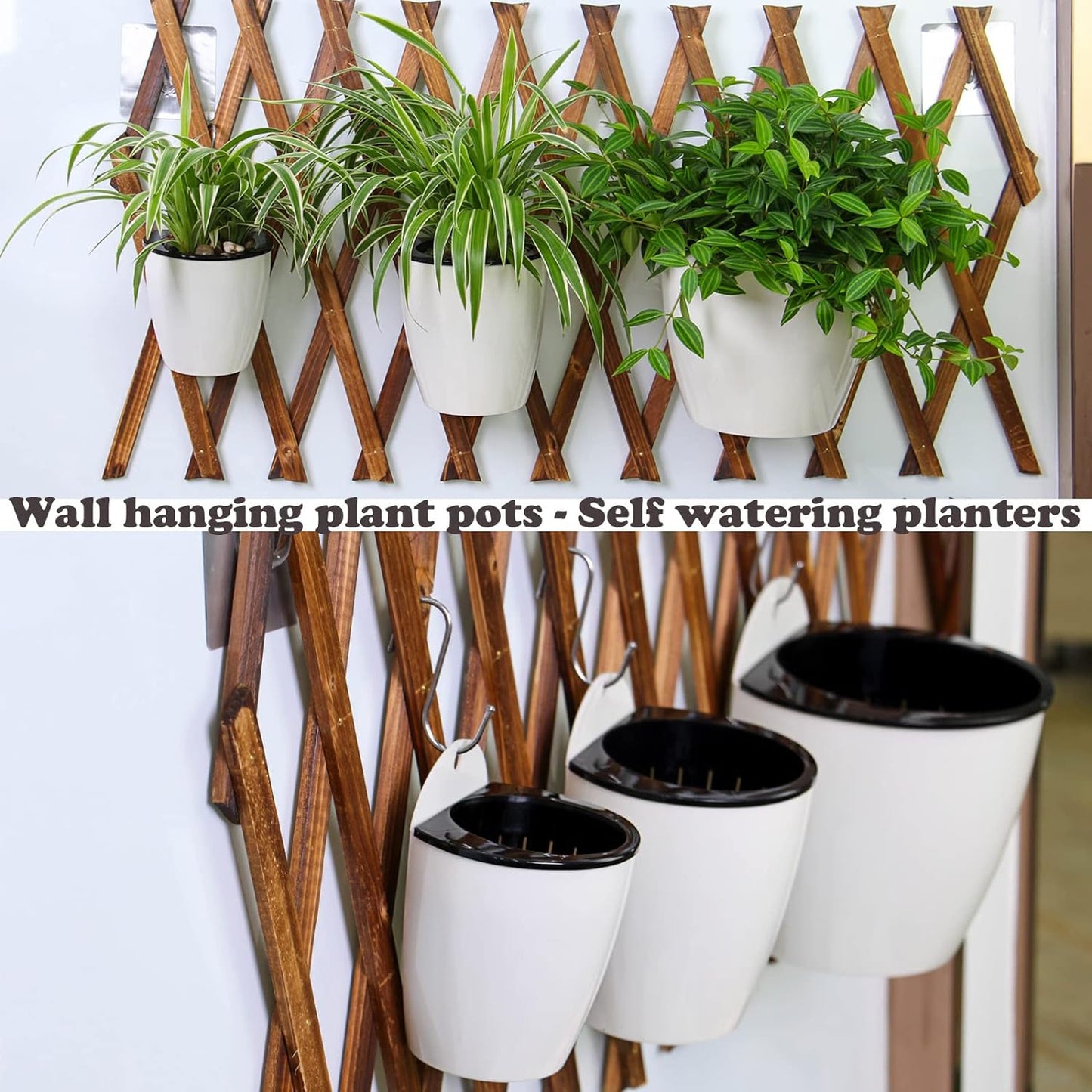 Modern Wall-Mounted Hydroponic Flowerpot