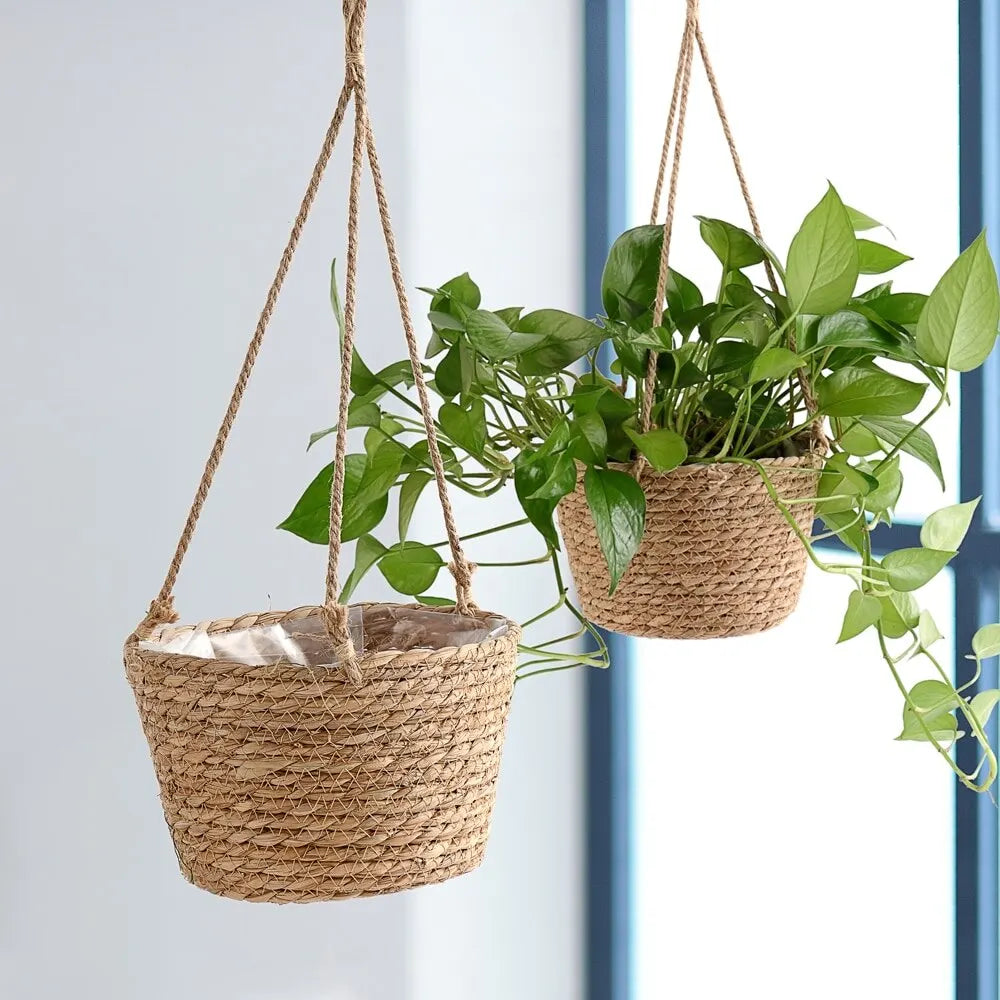 Garden Oasis Macrame Hanging Planter