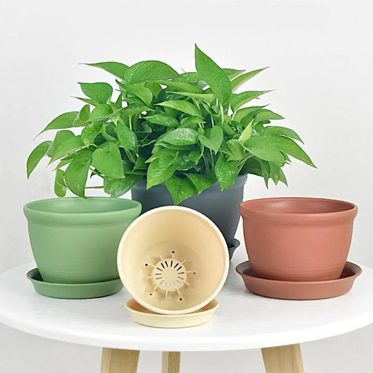 Round Ceramic Style Indoor Plant Pot with Tray