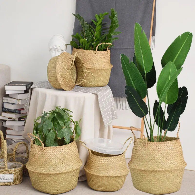 Versatile Wicker Seagrass Planter and Storage Basket